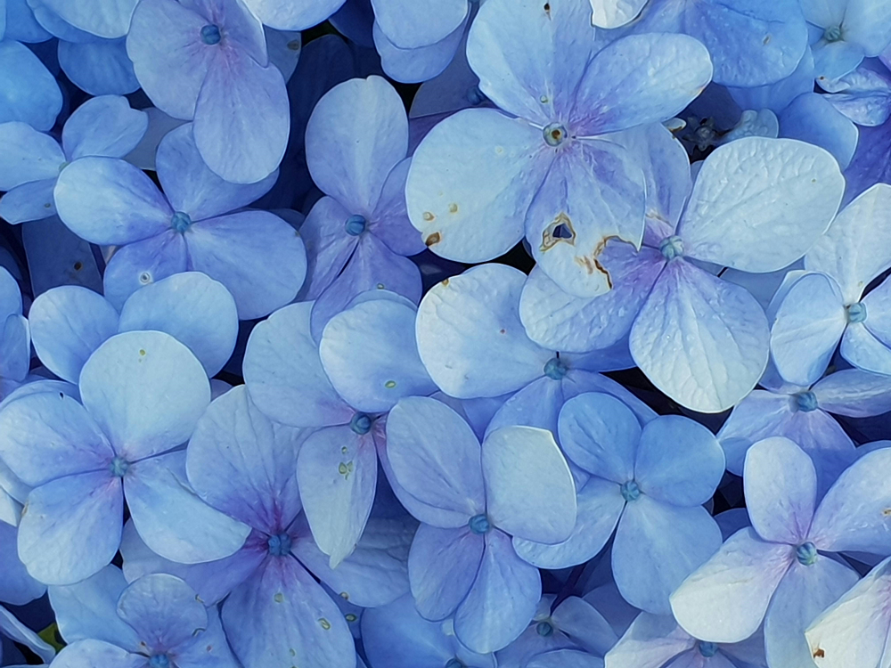 Blue Background