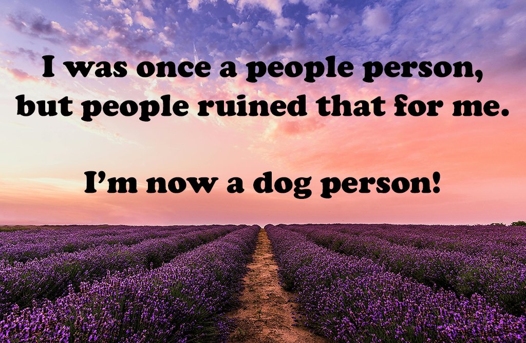 Motivational Quote