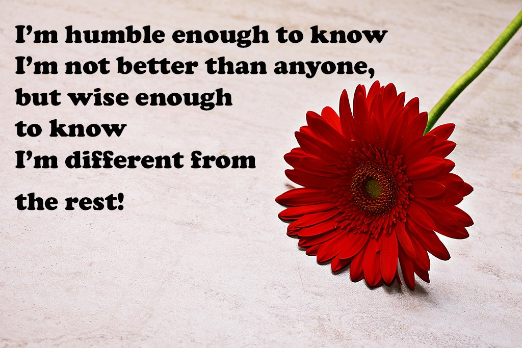 Motivational Quote