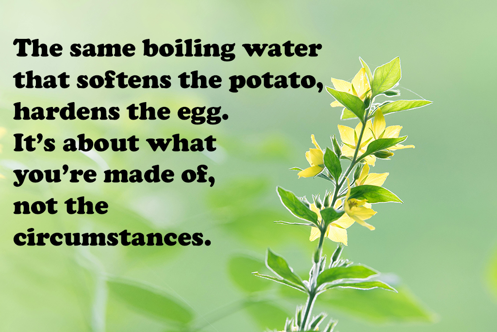 Motivational Quote