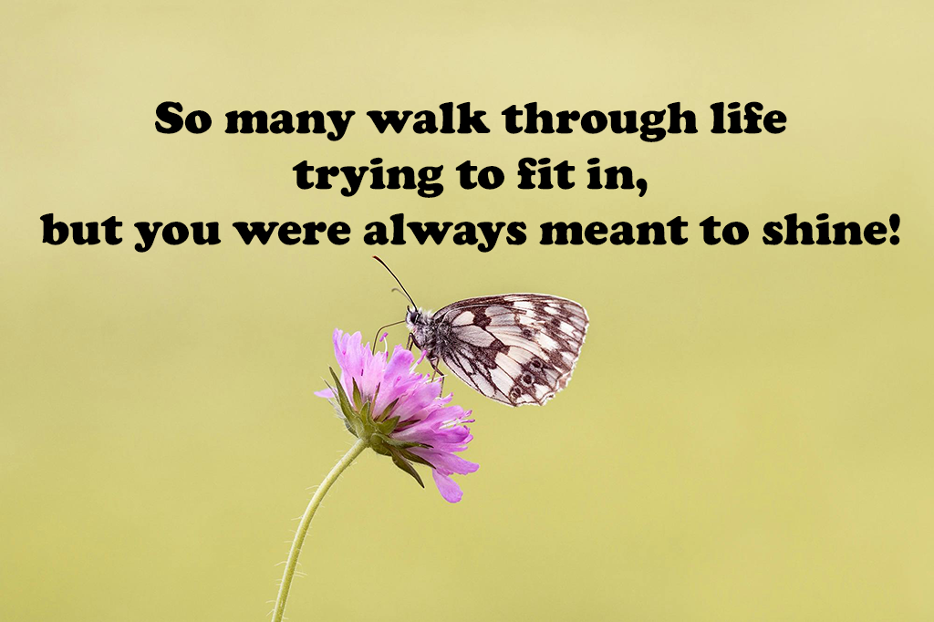 Motivational Quote