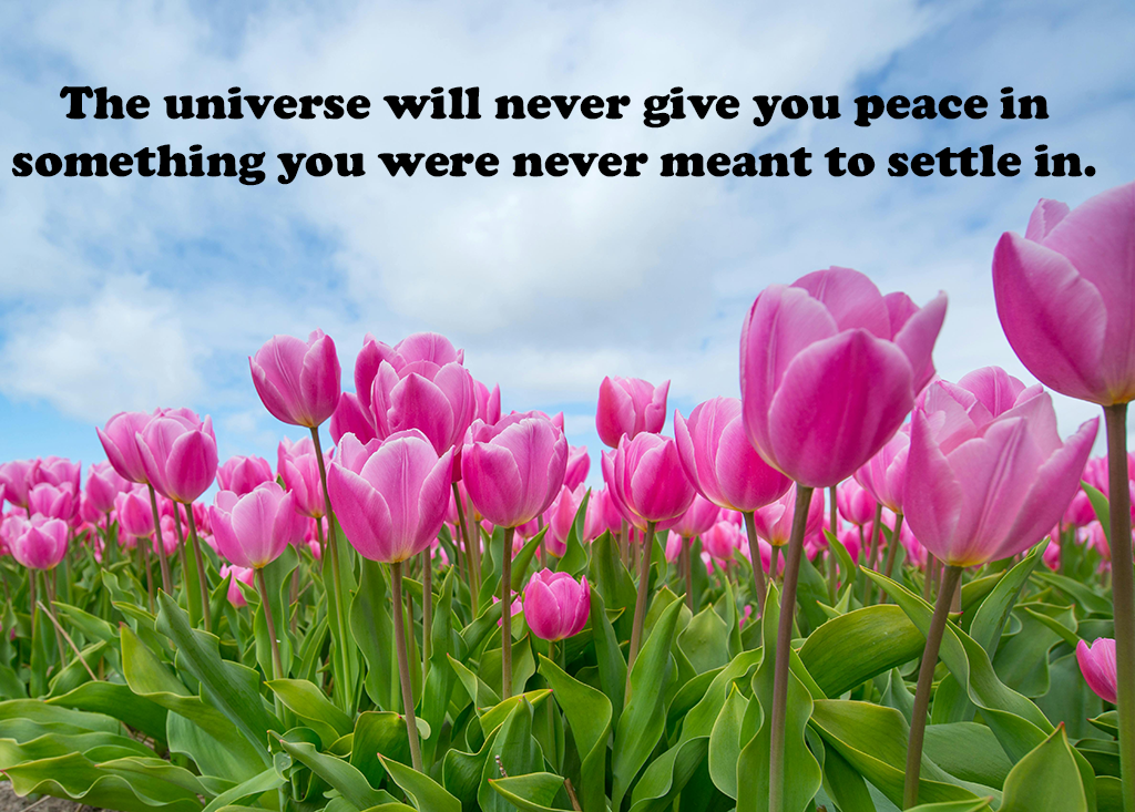 Motivational Quote
